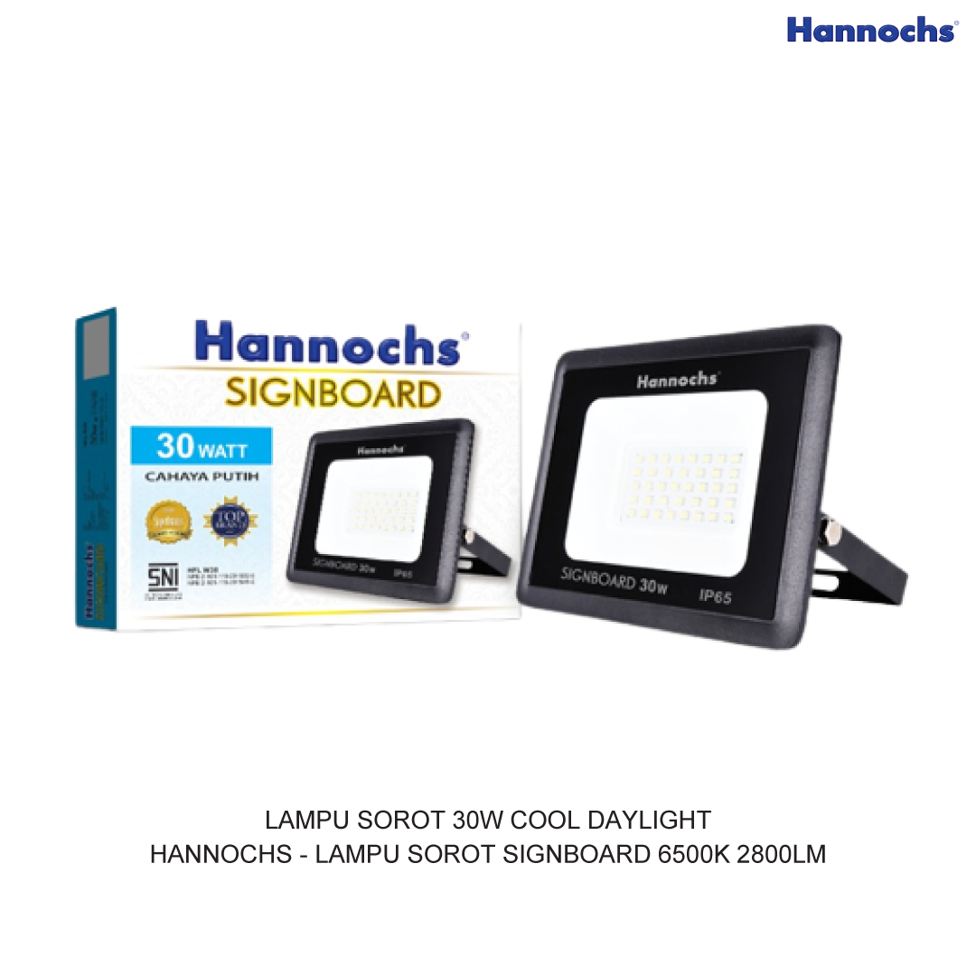 LED FLOODLIGHT 30W COOL DAYLIGHT HANNOCHS